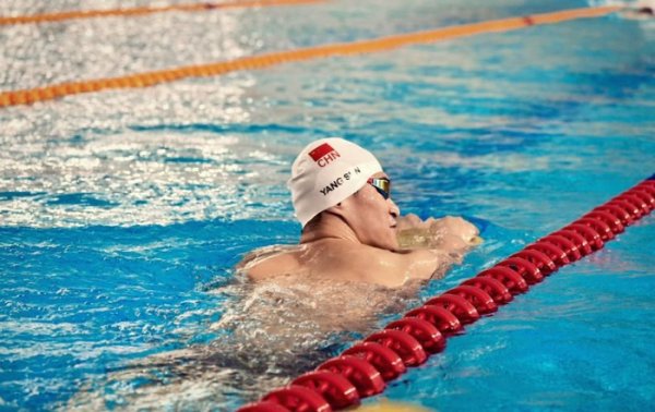 忍让桀骜 孙杨的变与不变